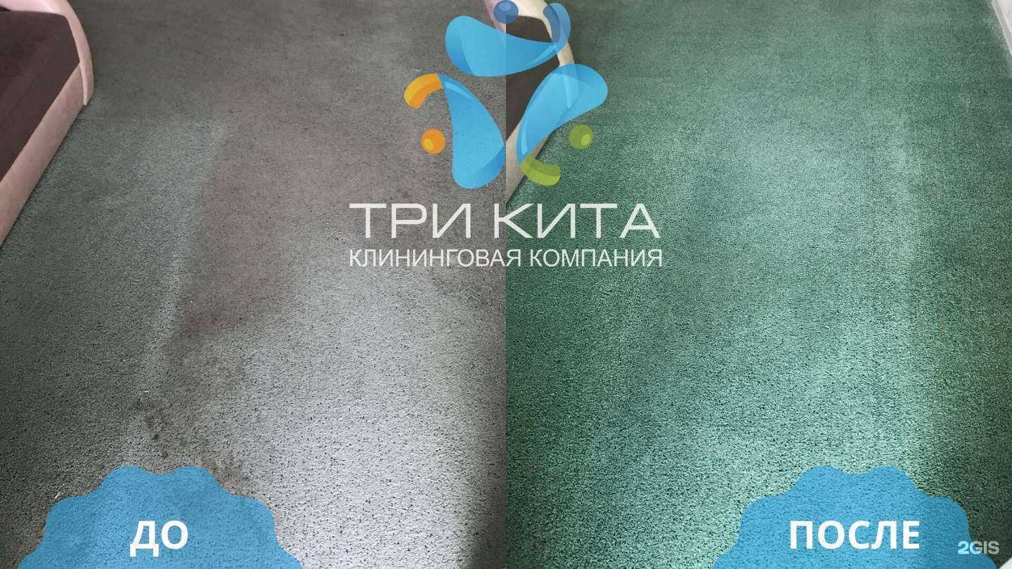 Отзывы на компанию Три Кита в г. Ставрополь c фото