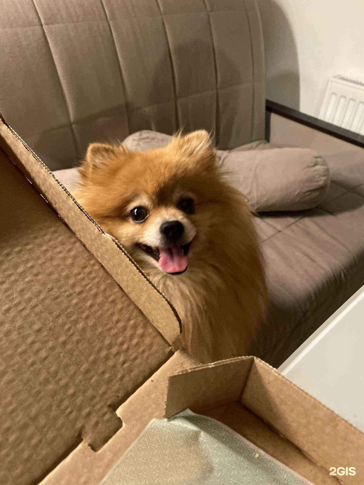 Отзывы на компанию Эфа в Екатеринбурге c фото