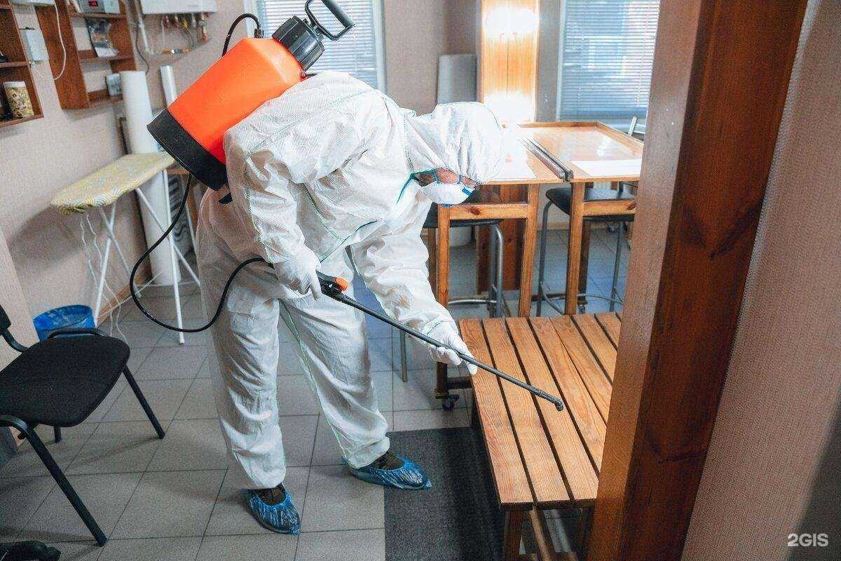 Отзывы на компанию Профдез-уют в Барнауле c фото