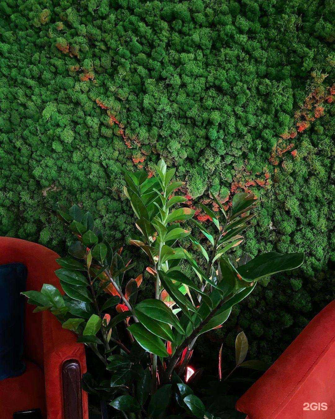 Отзывы на компанию Old Crepes в г. Славянск-на-Кубани c фото