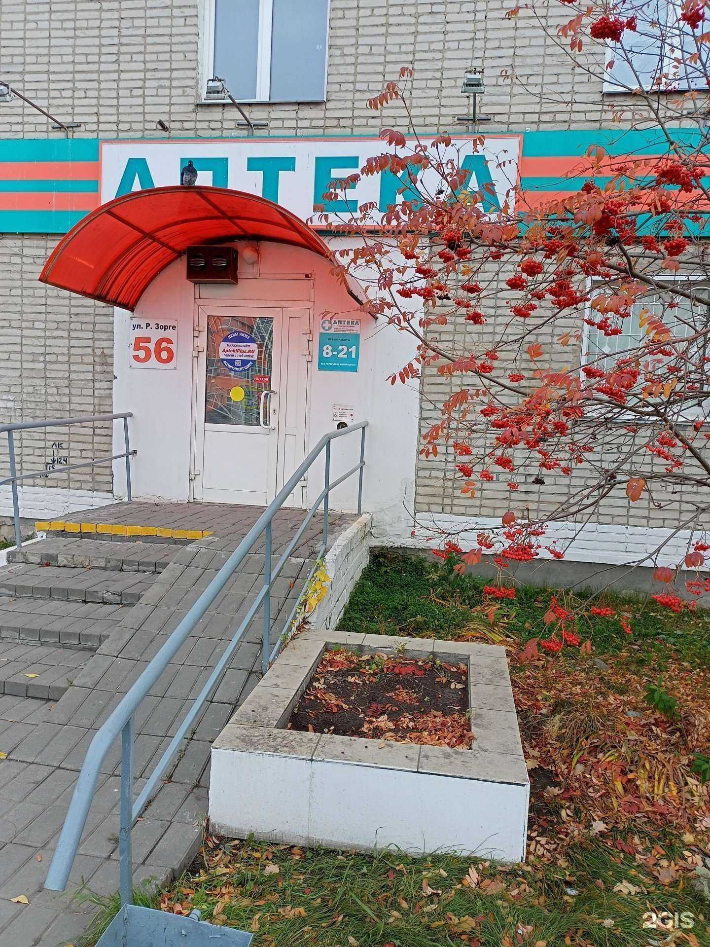 Отзывы на компанию Аптеки плюс в Кургане c фото