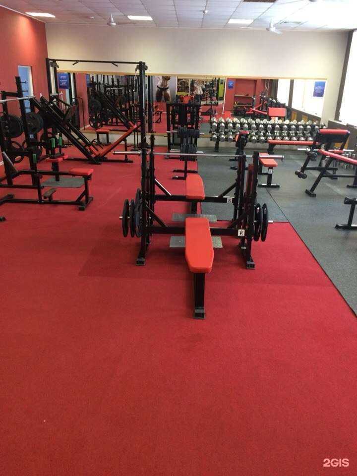 Отзывы на компанию Power Gym в Перми c фото