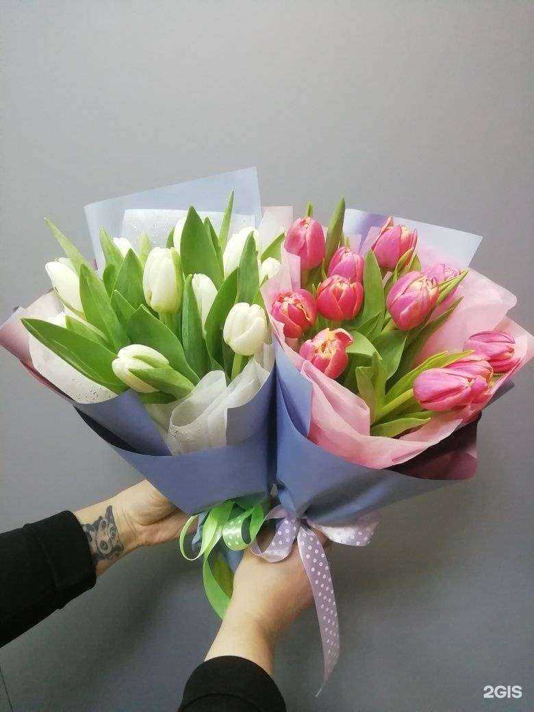 Отзывы на компанию Бонсай в Новомосковске c фото