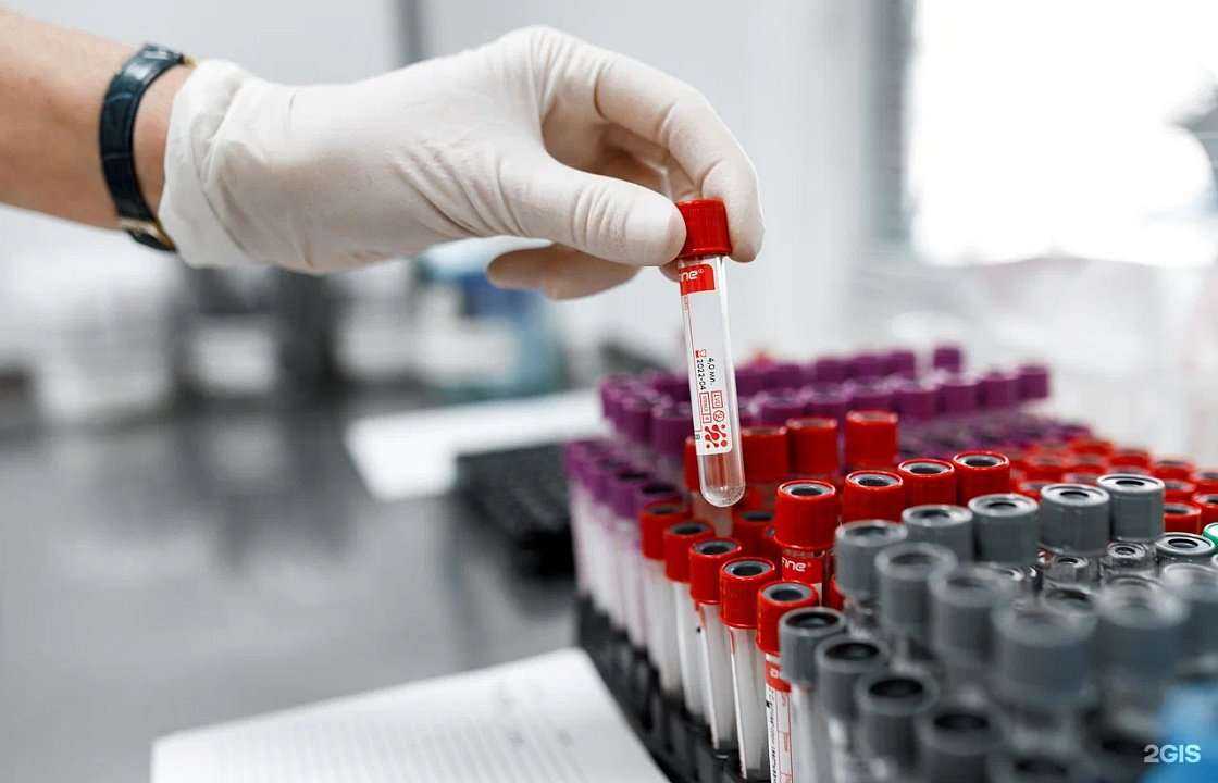 Отзывы на компанию Евродон в Ростове-на-Дону c фото