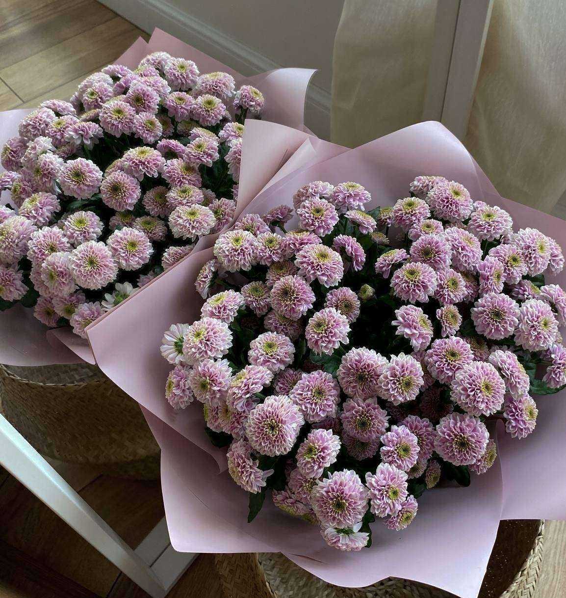 Отзывы на компанию Антураж в г. Тюмень c фото