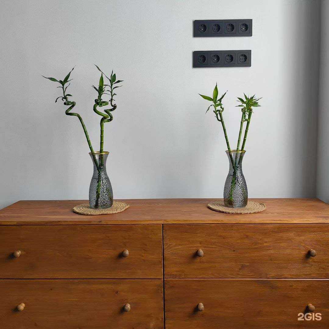 Отзывы на компанию Classic.Fit в г. Воронеж c фото