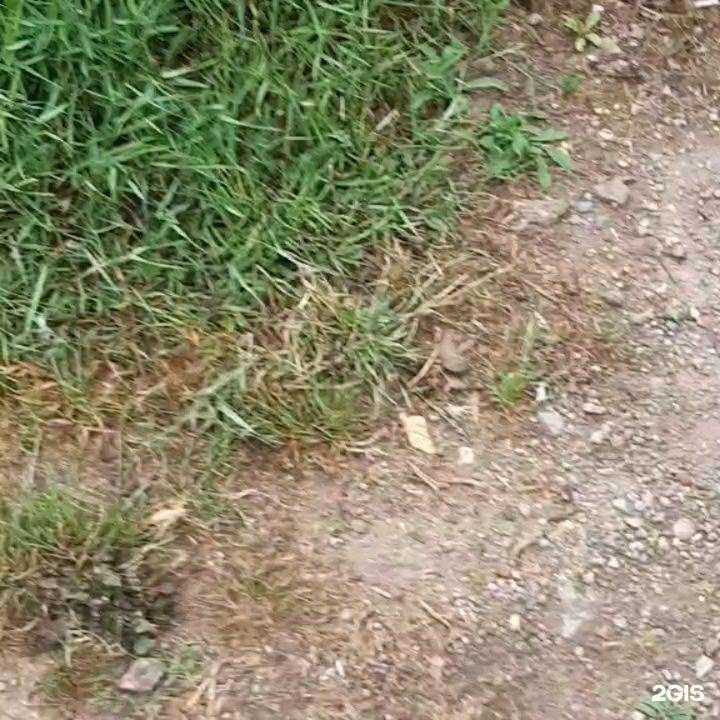 Отзывы на компанию Чисторай в Новороссийске c фото