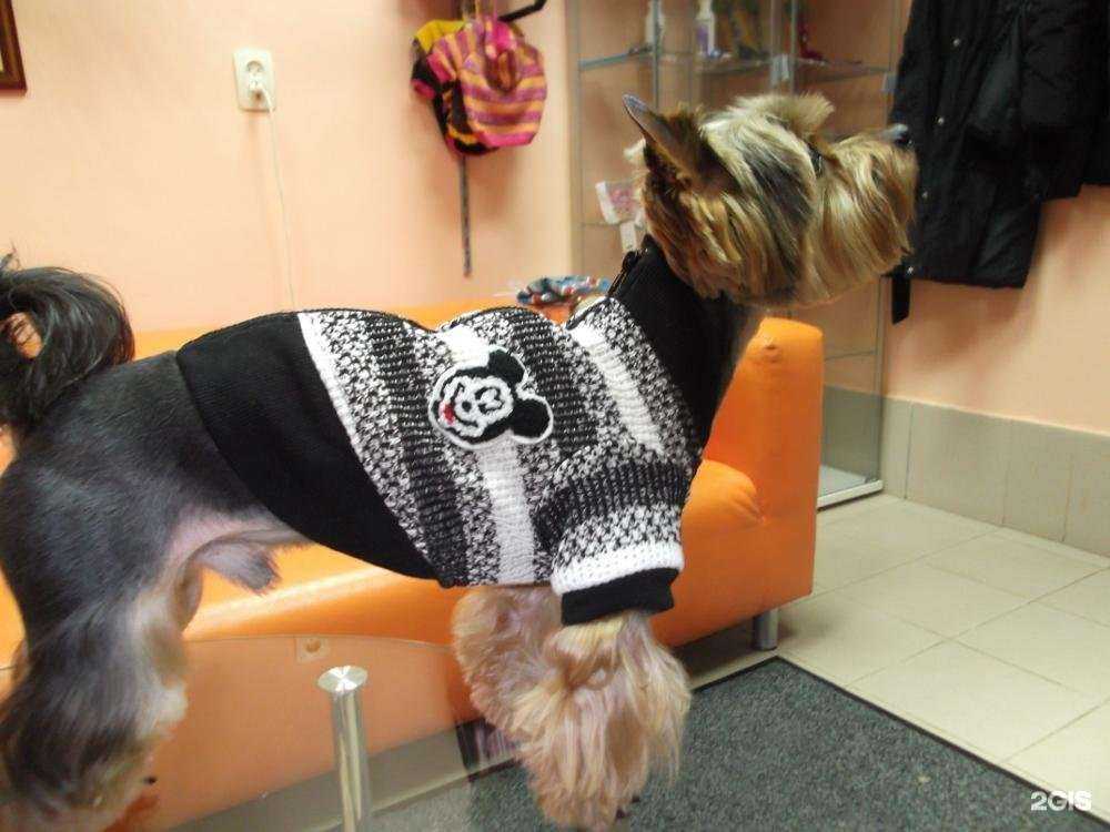 Отзывы на компанию Лакки в г. Фрязино c фото