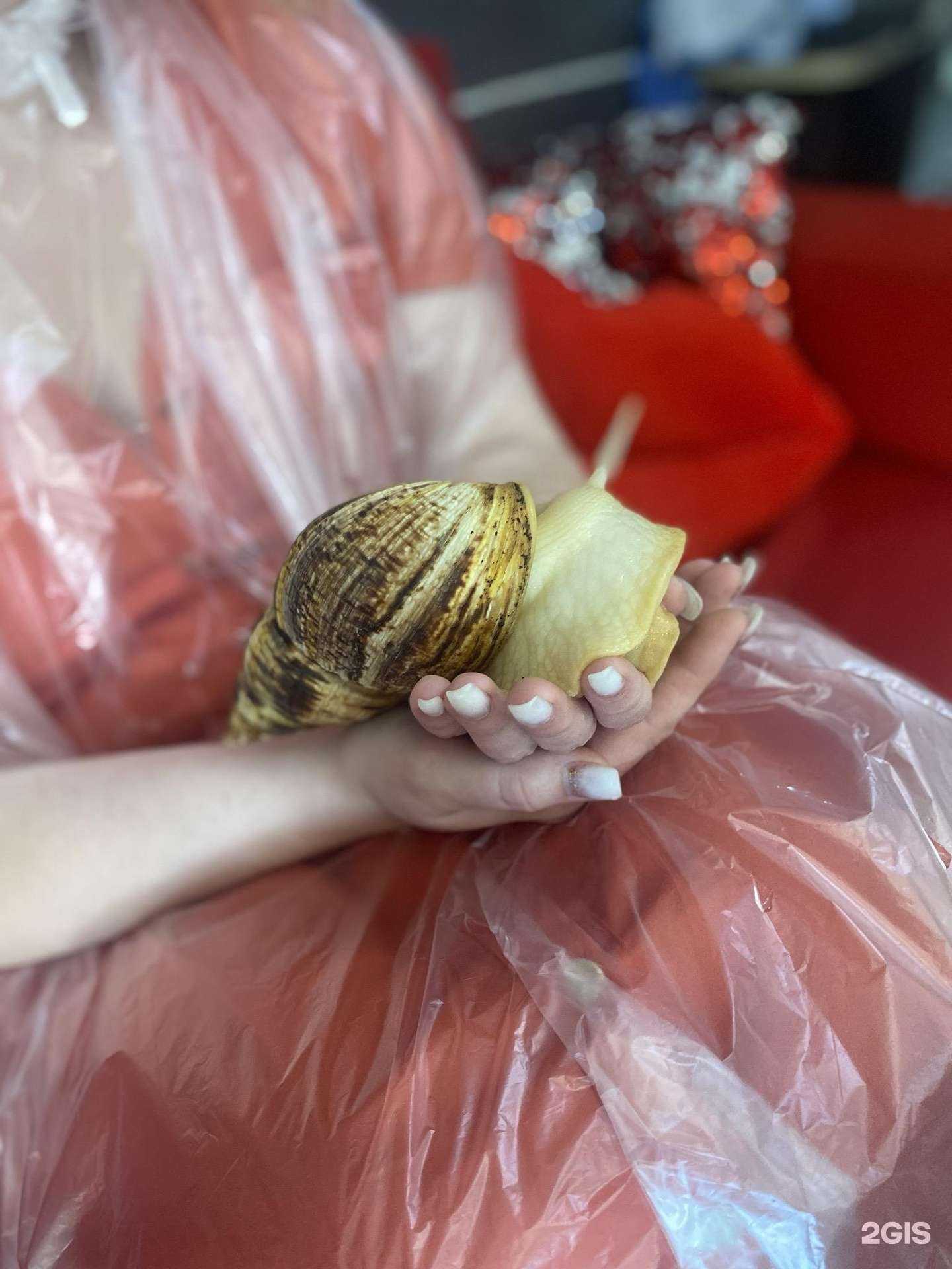 Отзывы на компанию Barbi & Barber в Сочи c фото