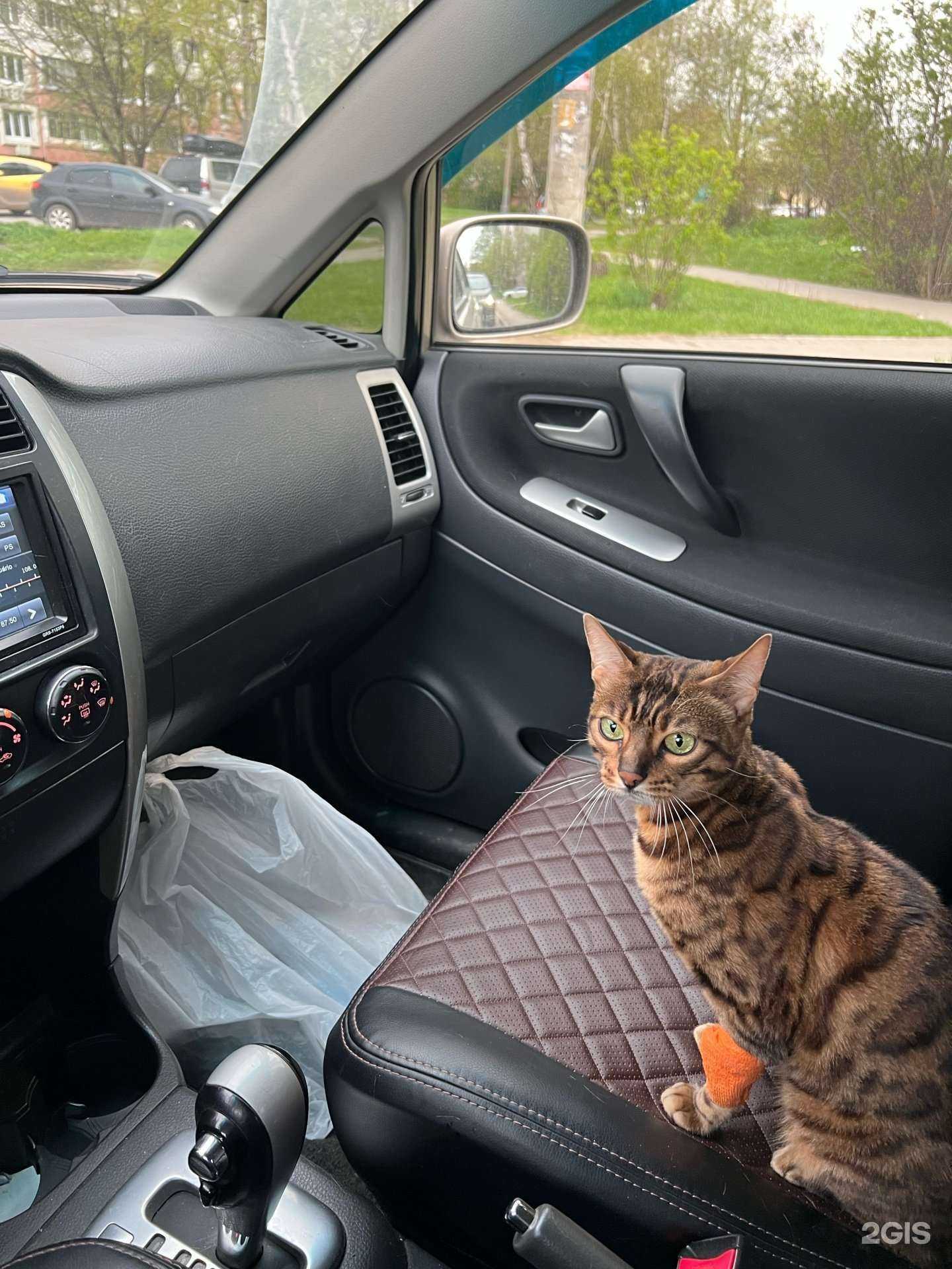 Отзывы на компанию Друг в г. Тула c фото