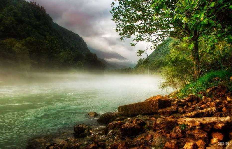 Отзывы на компанию Вербена в Ростове-на-Дону c фото