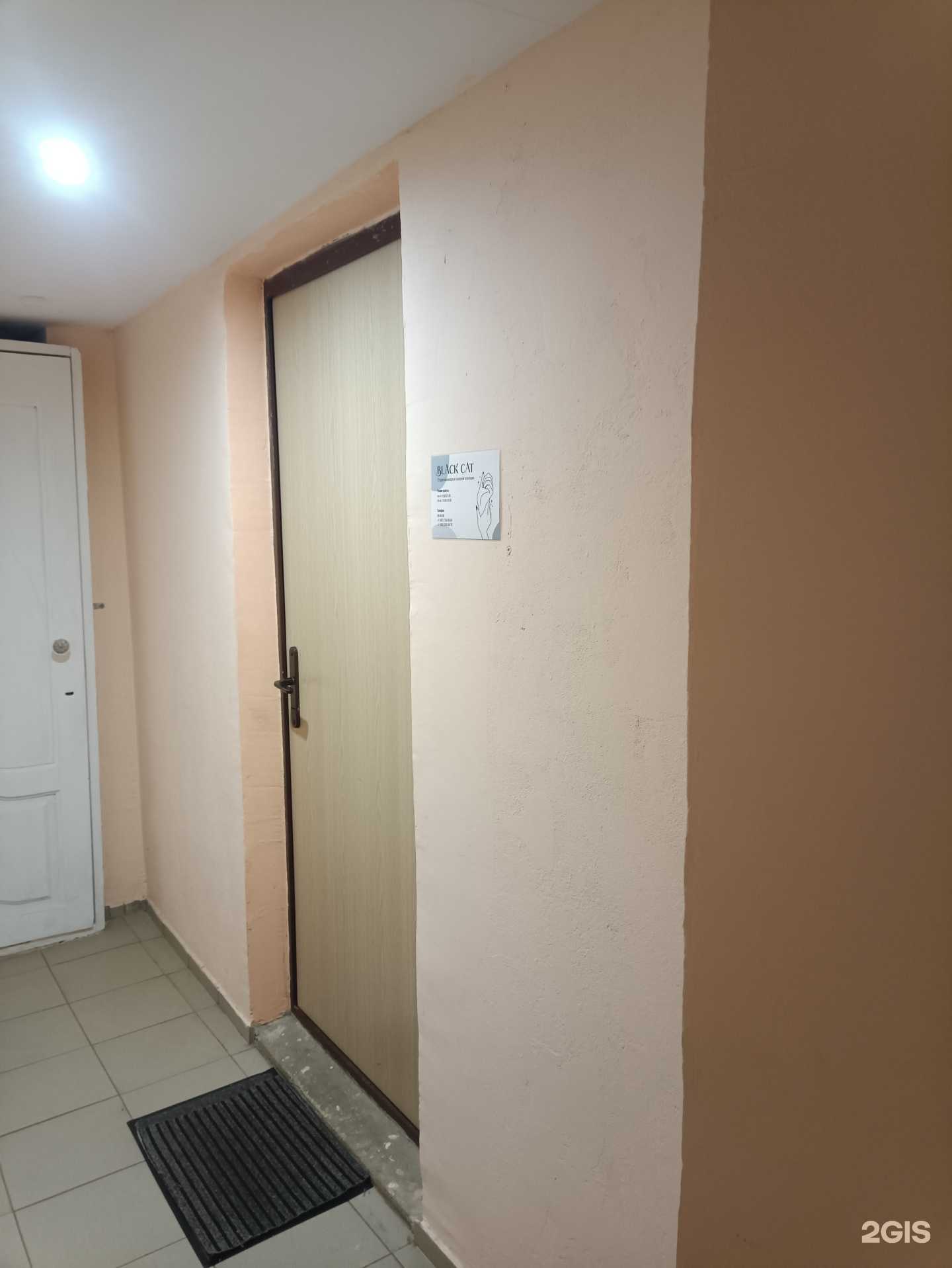 Отзывы на компанию Black cat в г. Йошкар-Ола c фото