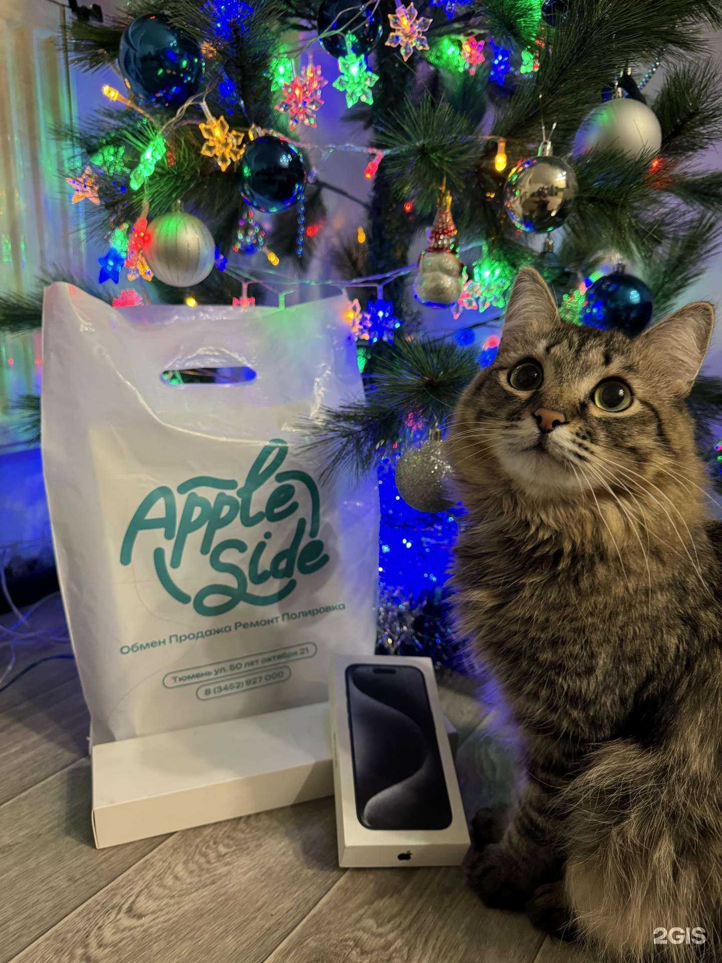 Отзывы на компанию Apple Side в Тюмени c фото