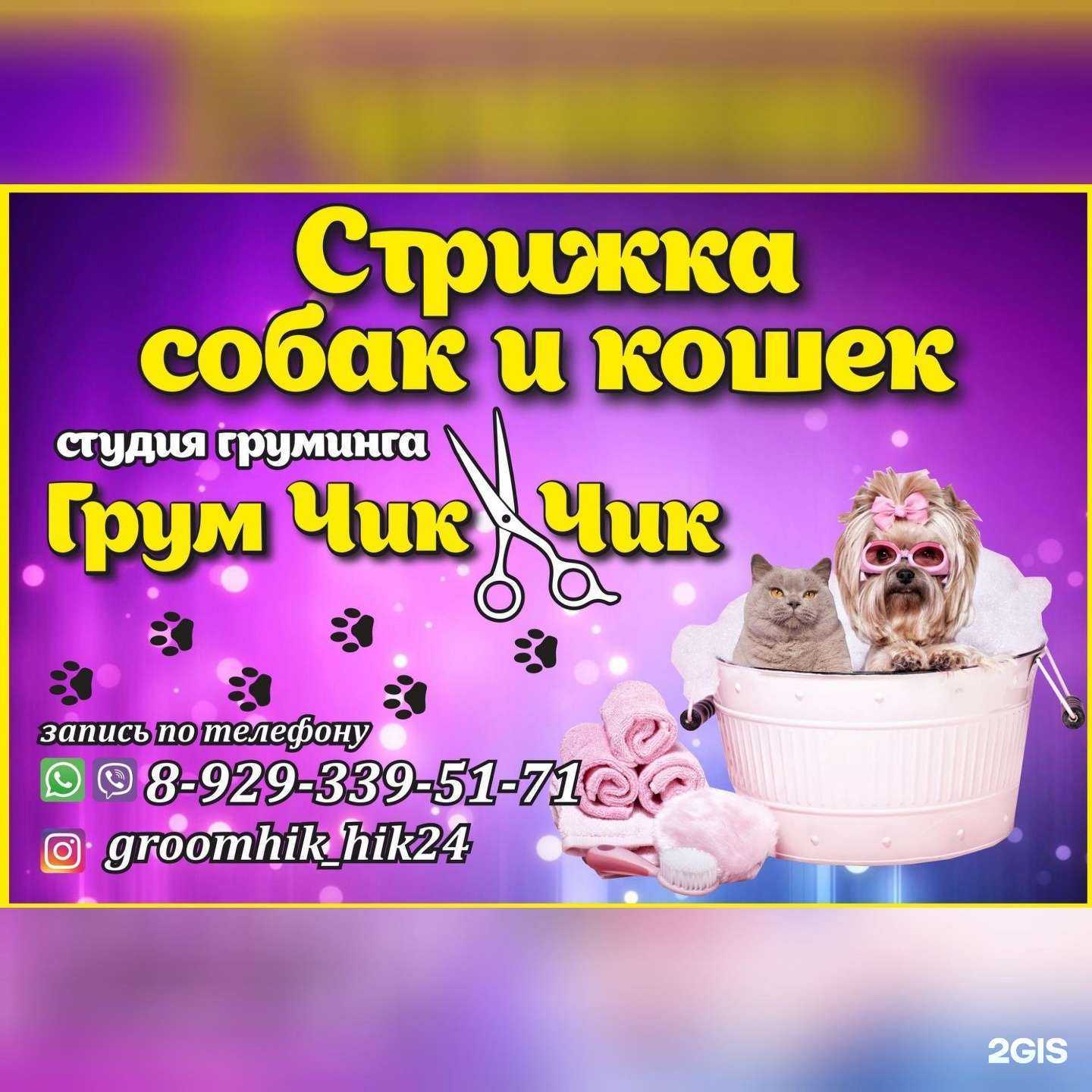 Отзывы на компанию Грум ЧикЧик в Красноярске c фото