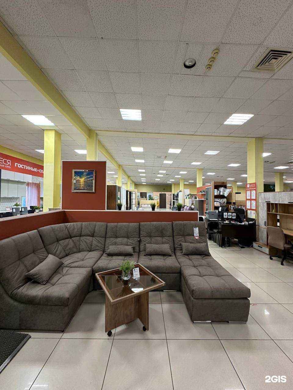 Отзывы на компанию АЛЕСЯ в Омске c фото