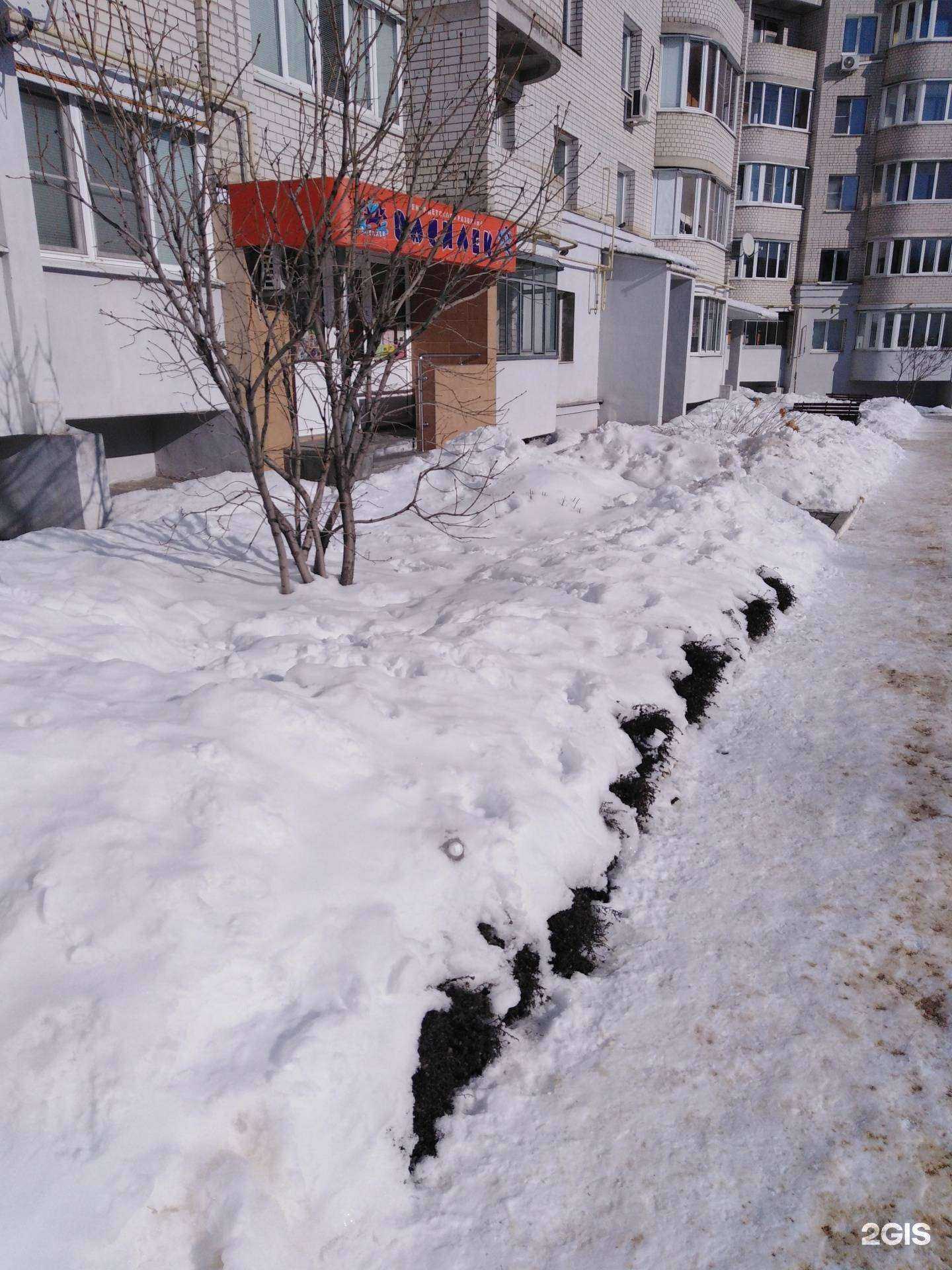 Отзывы на компанию Василёк в г. Тамбов c фото