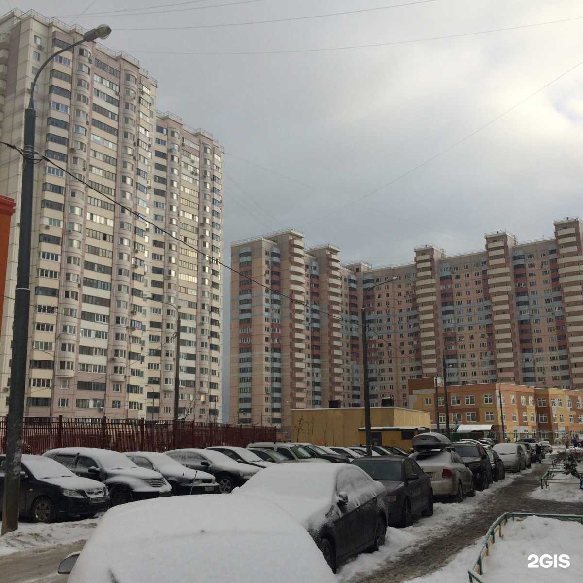 Отзывы на компанию Домашний любимец в Одинцове c фото