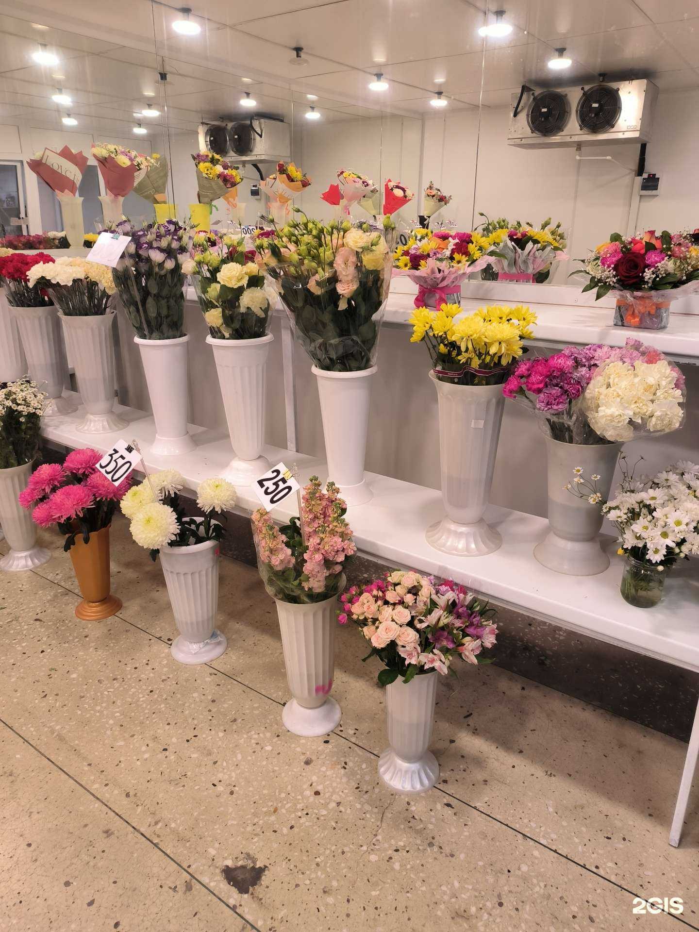 Отзывы на компанию Орхидея в Сургуте c фото