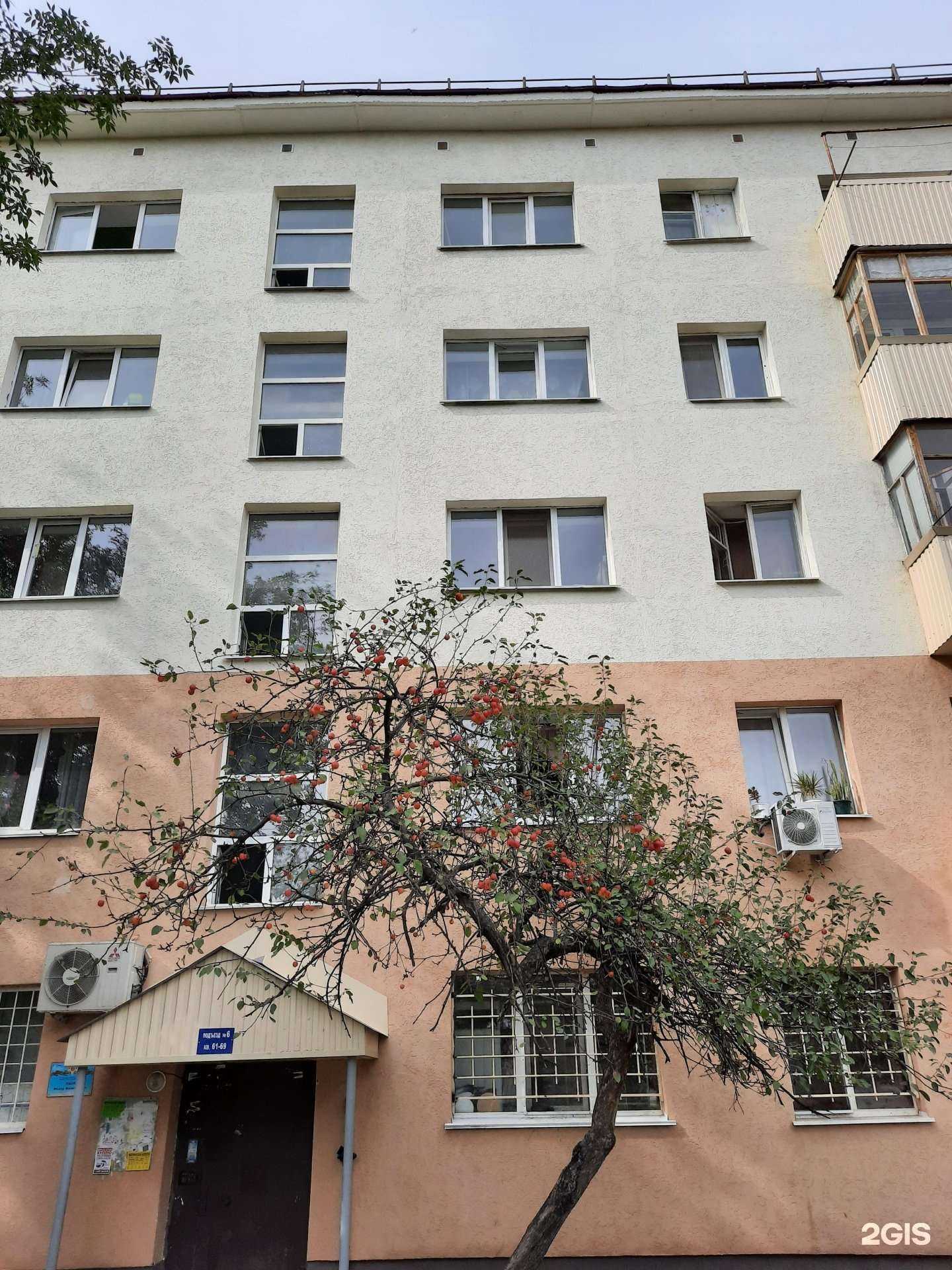 Отзывы на компанию Чио Чио в Уфе c фото - фотография 2 из 2