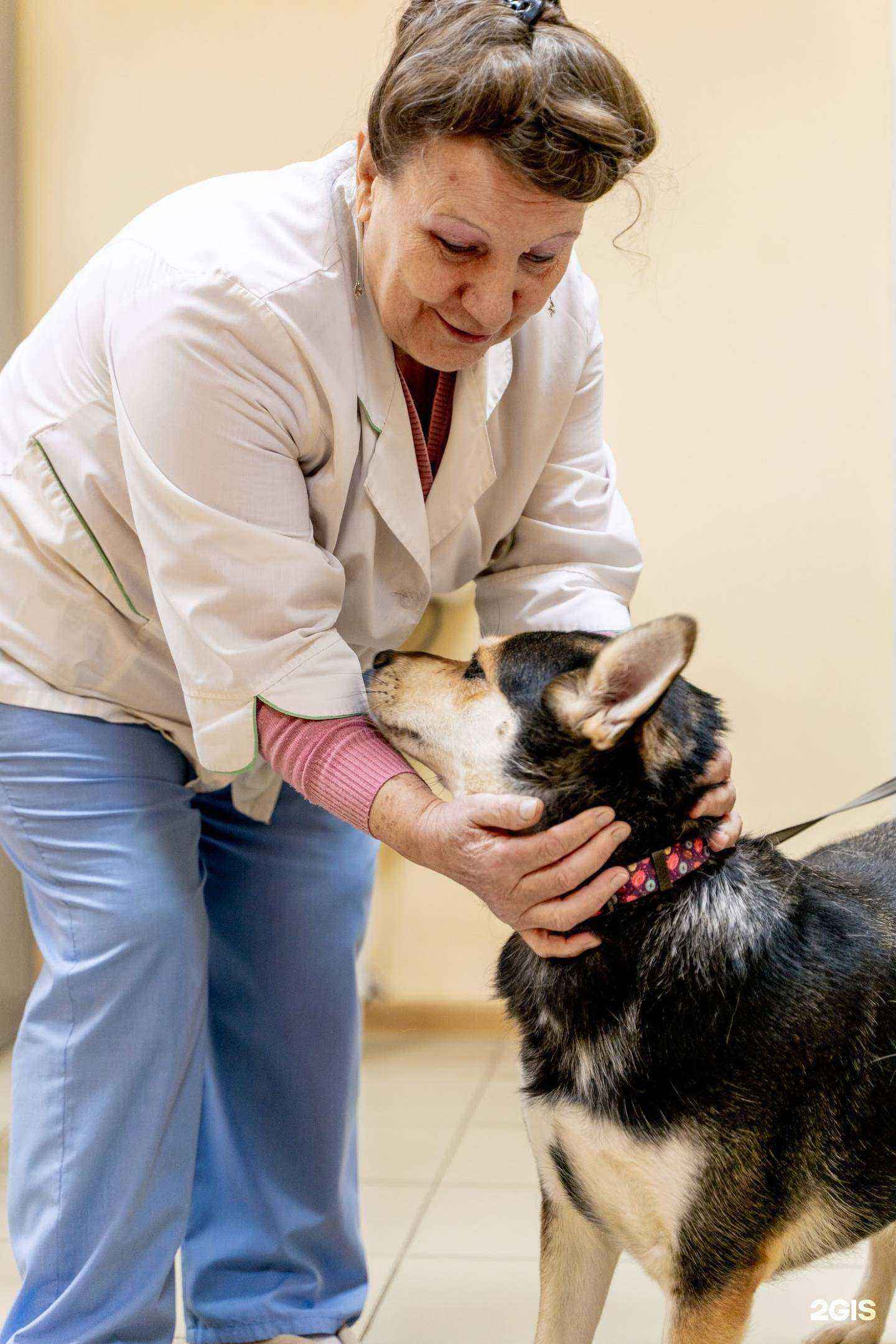 Отзывы на компанию Друг в Обнинске c фото