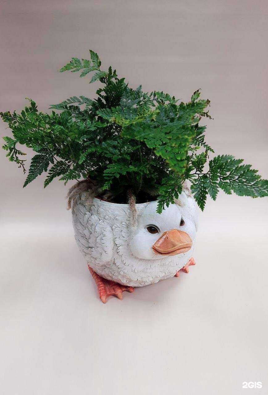 Отзывы на компанию Нарцисс в г. Абакан c фото