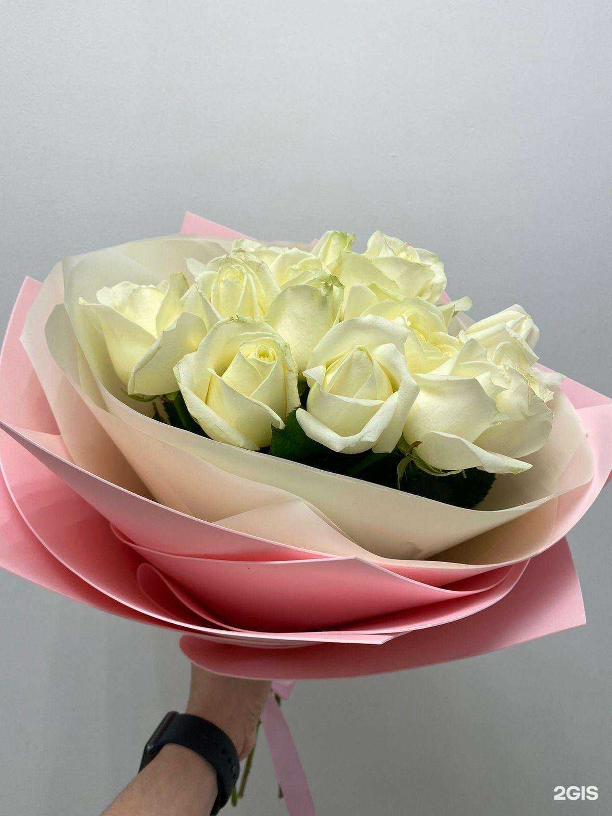 Отзывы на компанию Amore mio в Набережных Челнах c фото