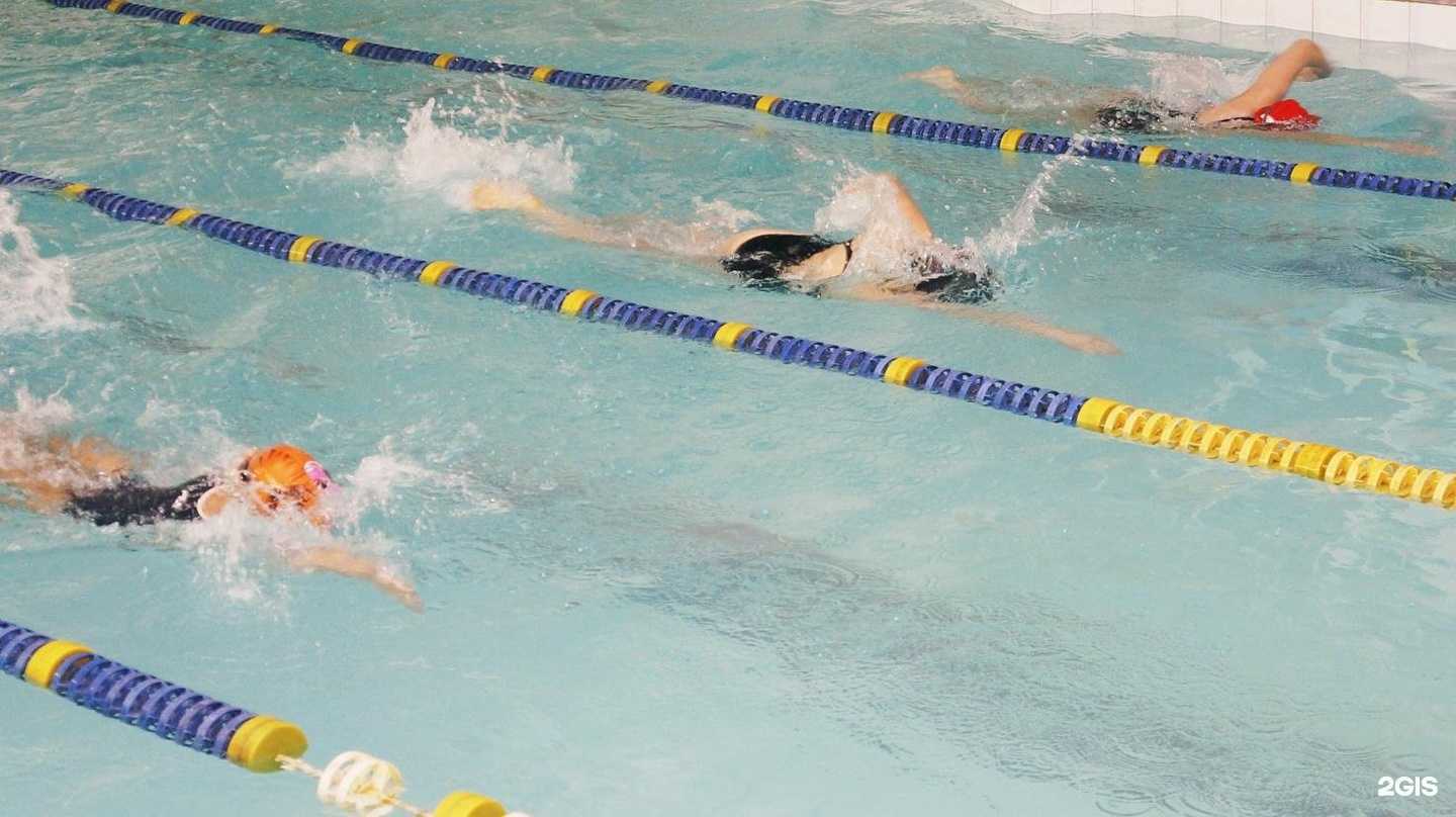 Отзывы на компанию СШОР водных видов спорта в г. Пермь c фото