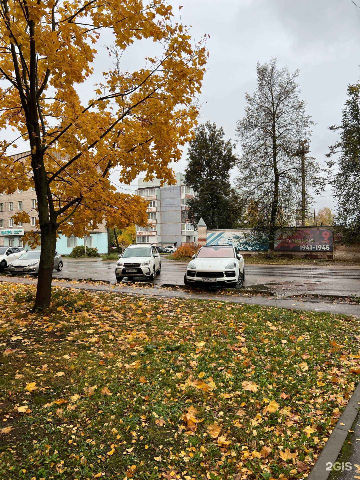 Отзывы на компанию Студия лазерной эпиляции в г. Боровичи c фото