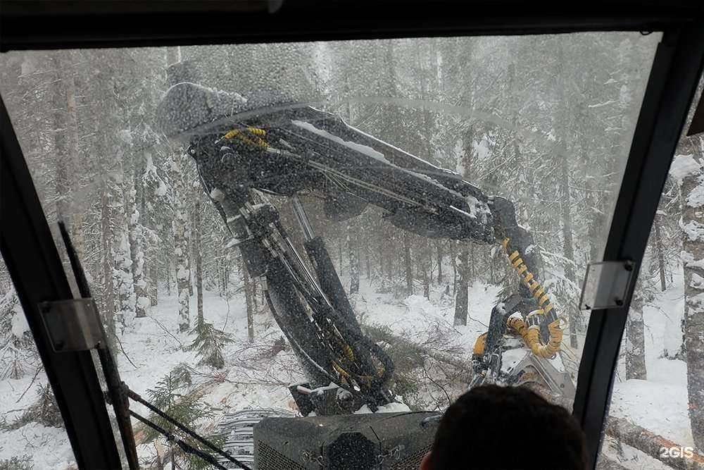Отзывы на компанию Дикий Гусь в г. Киров c фото