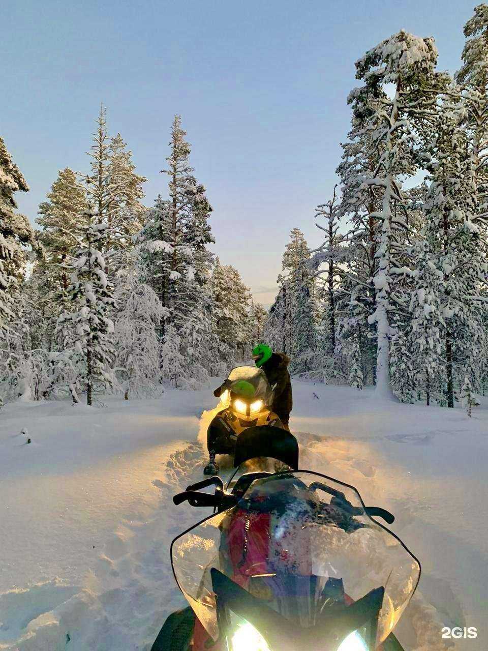 Отзывы на компанию Лесная сказка в г. Петрозаводск c фото