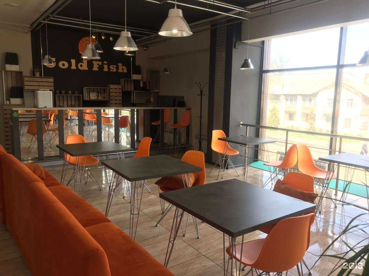 Отзывы на компанию GoldFish в г. Новомосковск c фото