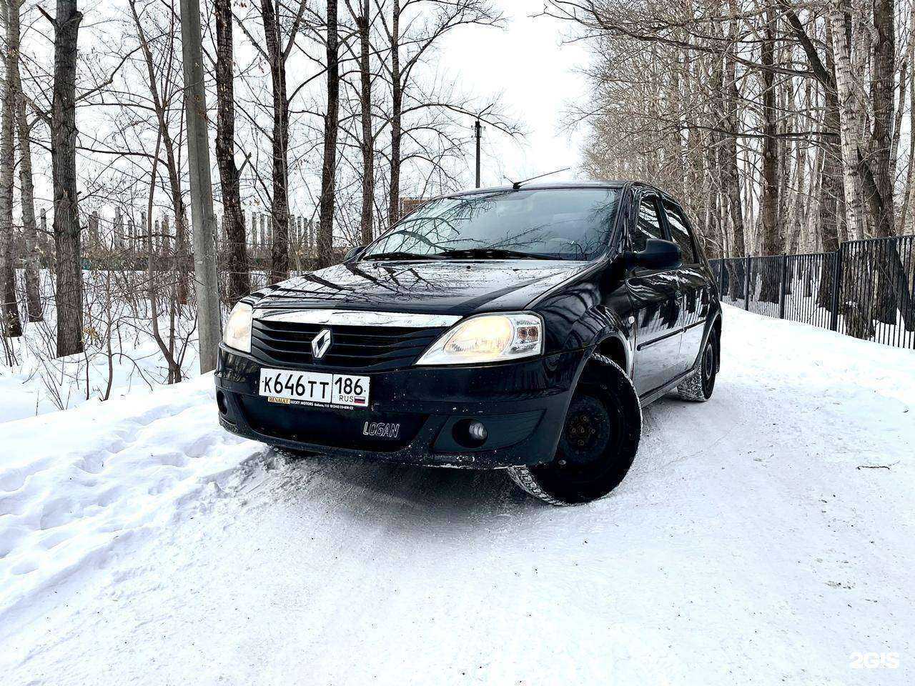 Отзывы на компанию Территория в г. Омск c фото