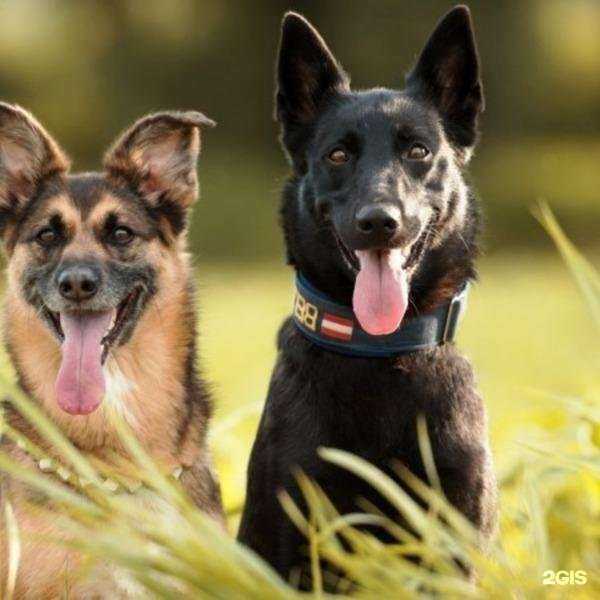 Отзывы на компанию ИнТерра в г. Новосибирск c фото