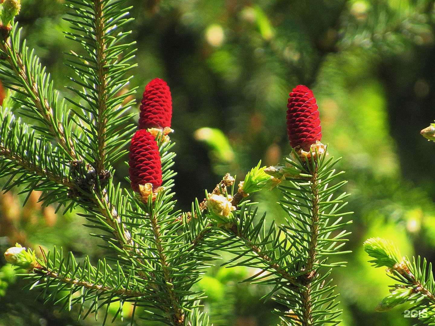 Отзывы на компанию Арго в г. Краснодар c фото