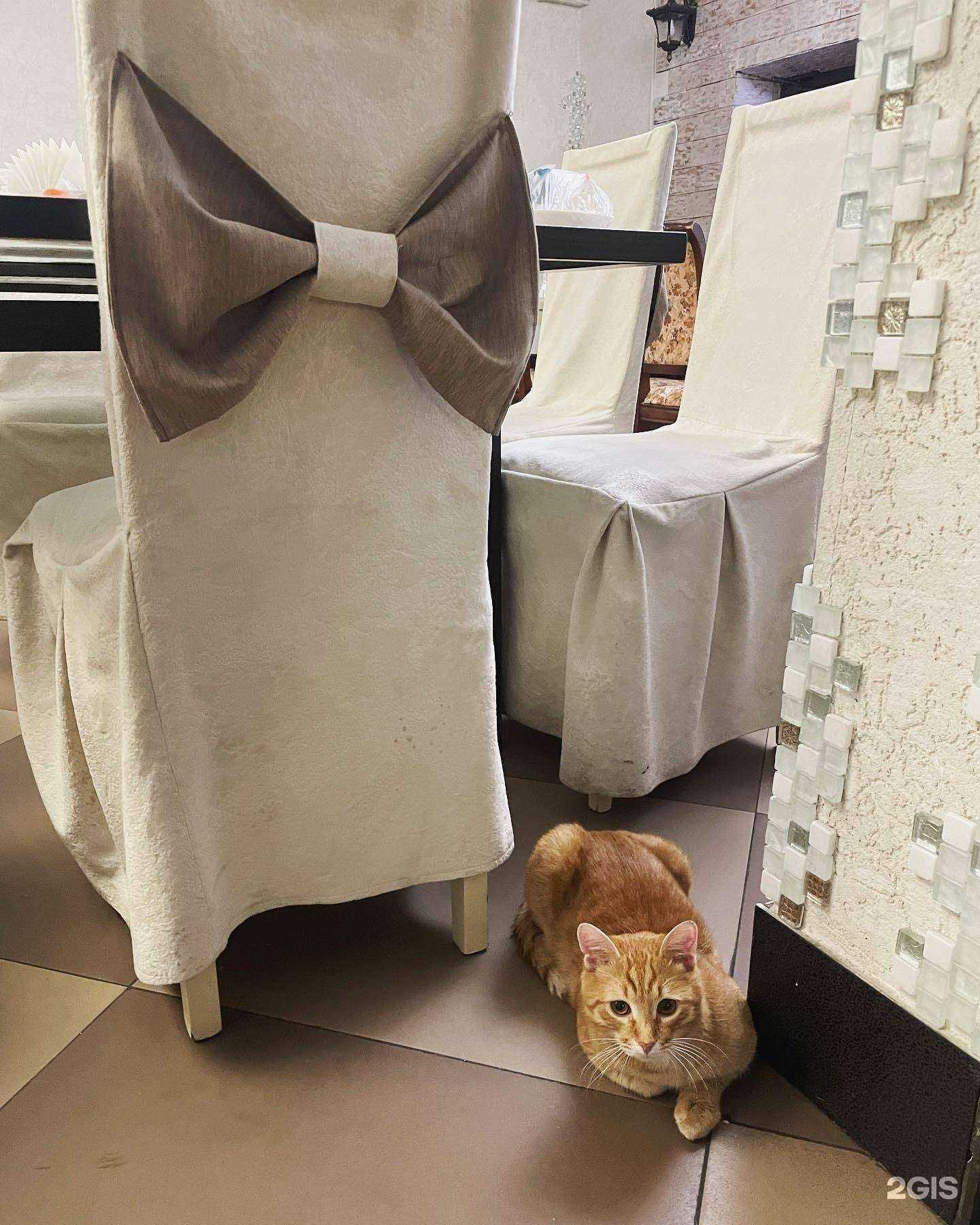 Отзывы на компанию Жара в Нижнем Новгороде c фото