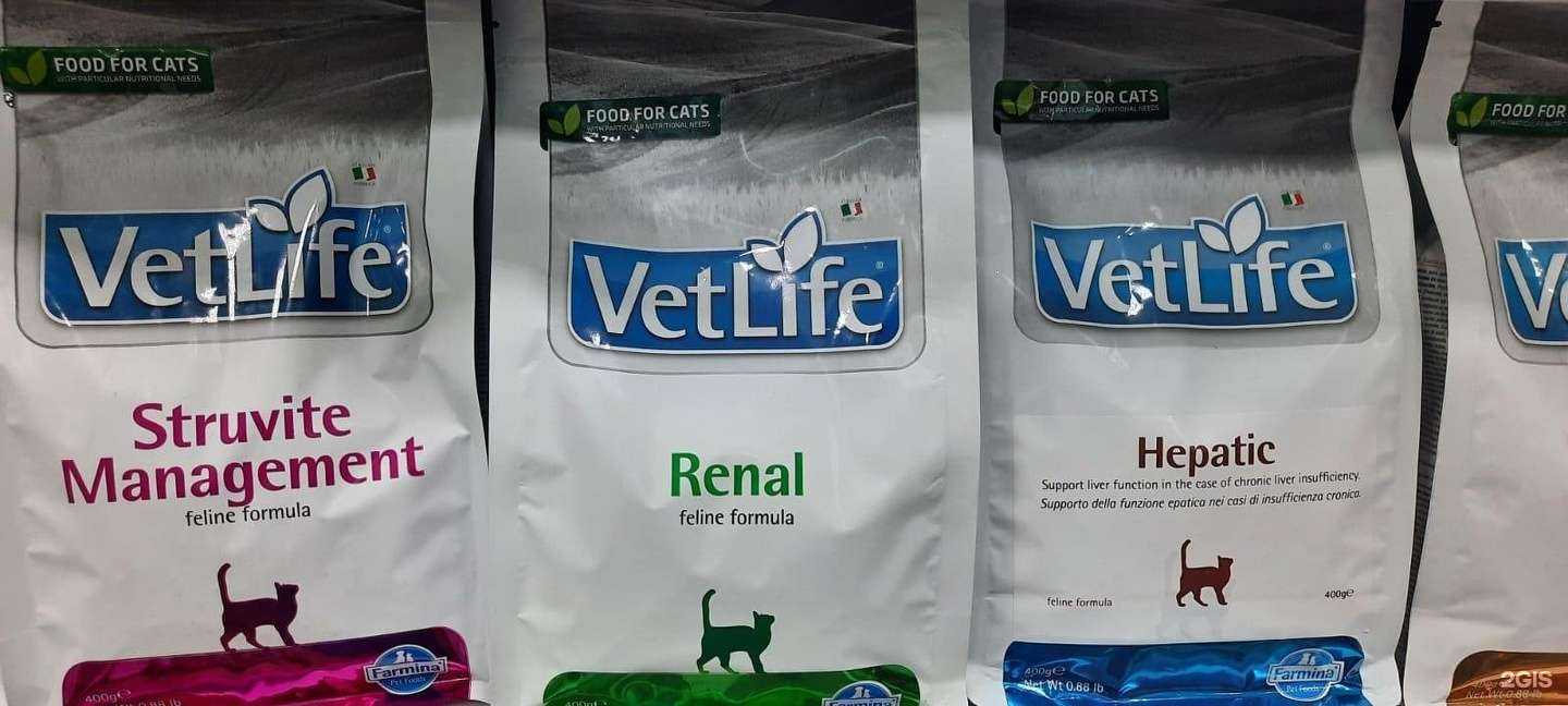 Отзывы на компанию Др.Холли в г. Старый Оскол c фото