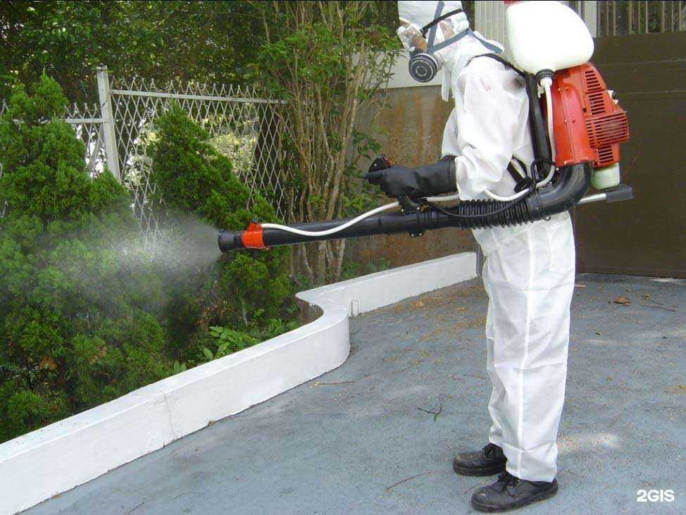 Отзывы на компанию Клиндез озон в Омске c фото