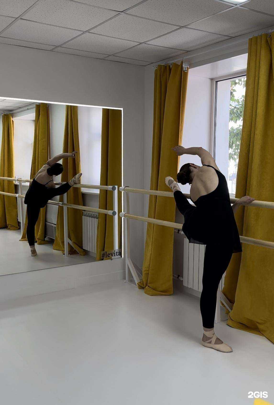 Отзывы на компанию Levita в Новосибирске c фото