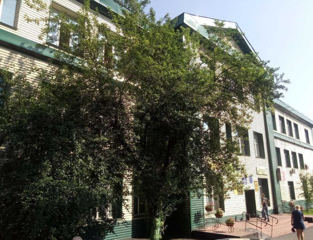 Отзывы на компанию Берёзка в Прокопьевске c фото - фотография 2 из 2