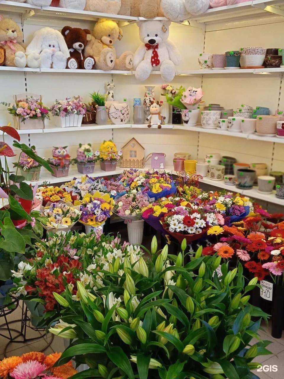 Отзывы на компанию Планета Цветов в Калуге c фото