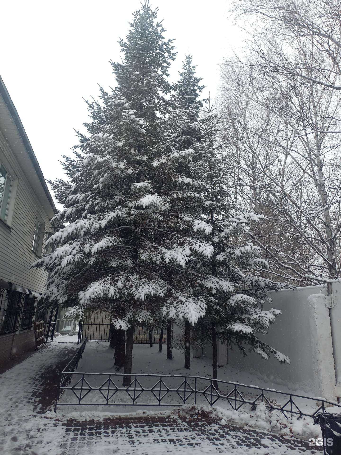 Отзывы на компанию Студия красоты в Хабаровске c фото - фотография 2 из 2