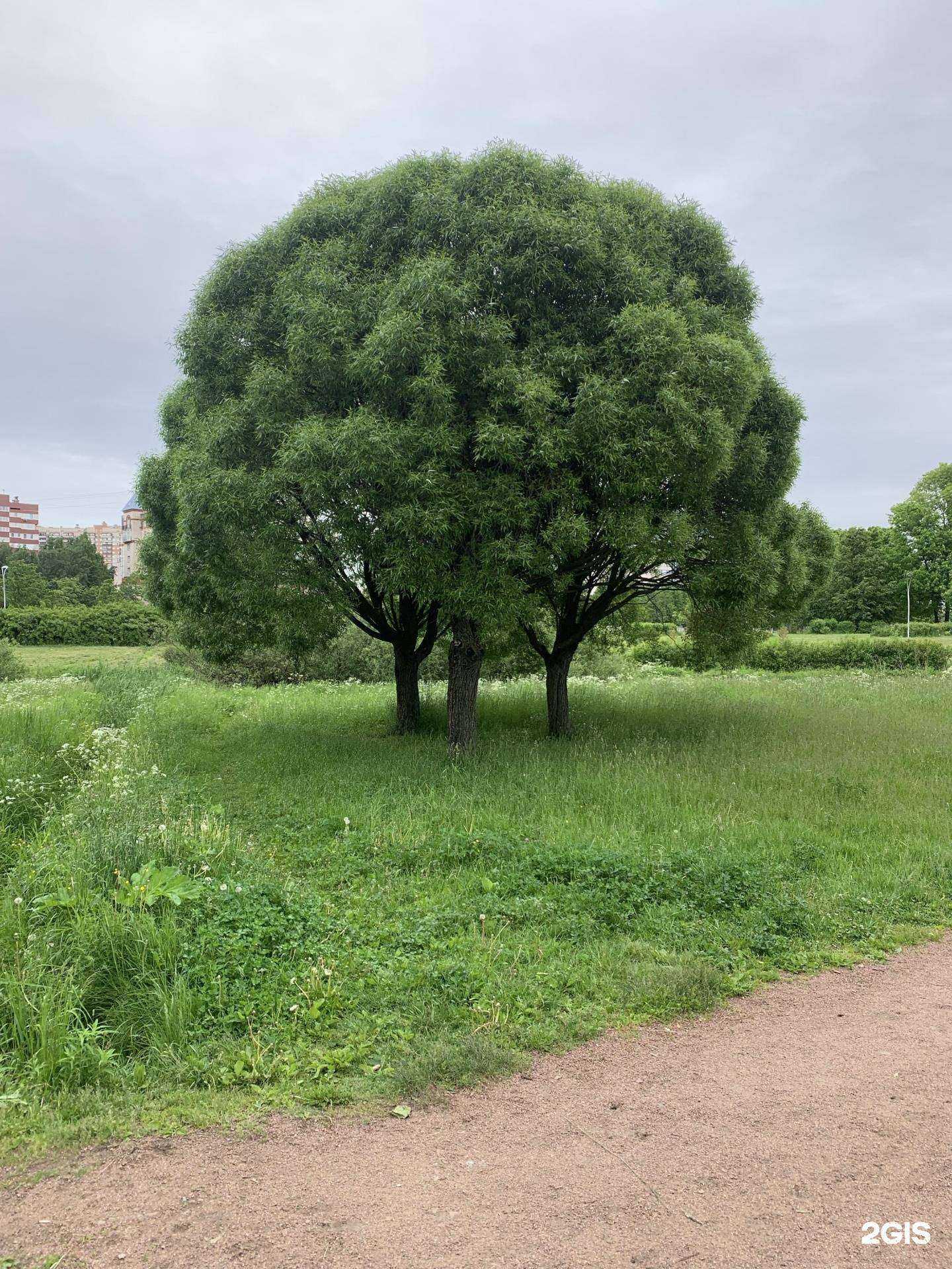 Отзывы на компанию Detailwash в Красноярске c фото - фотография 2 из 2