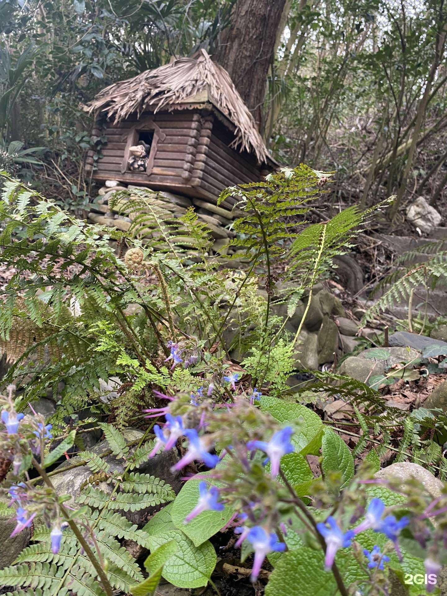 Отзывы на компанию Русская баня в Сочи c фото