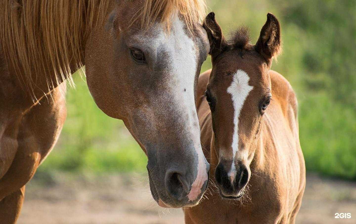 Отзывы на компанию Приморский эм-центр в Владивостоке c фото