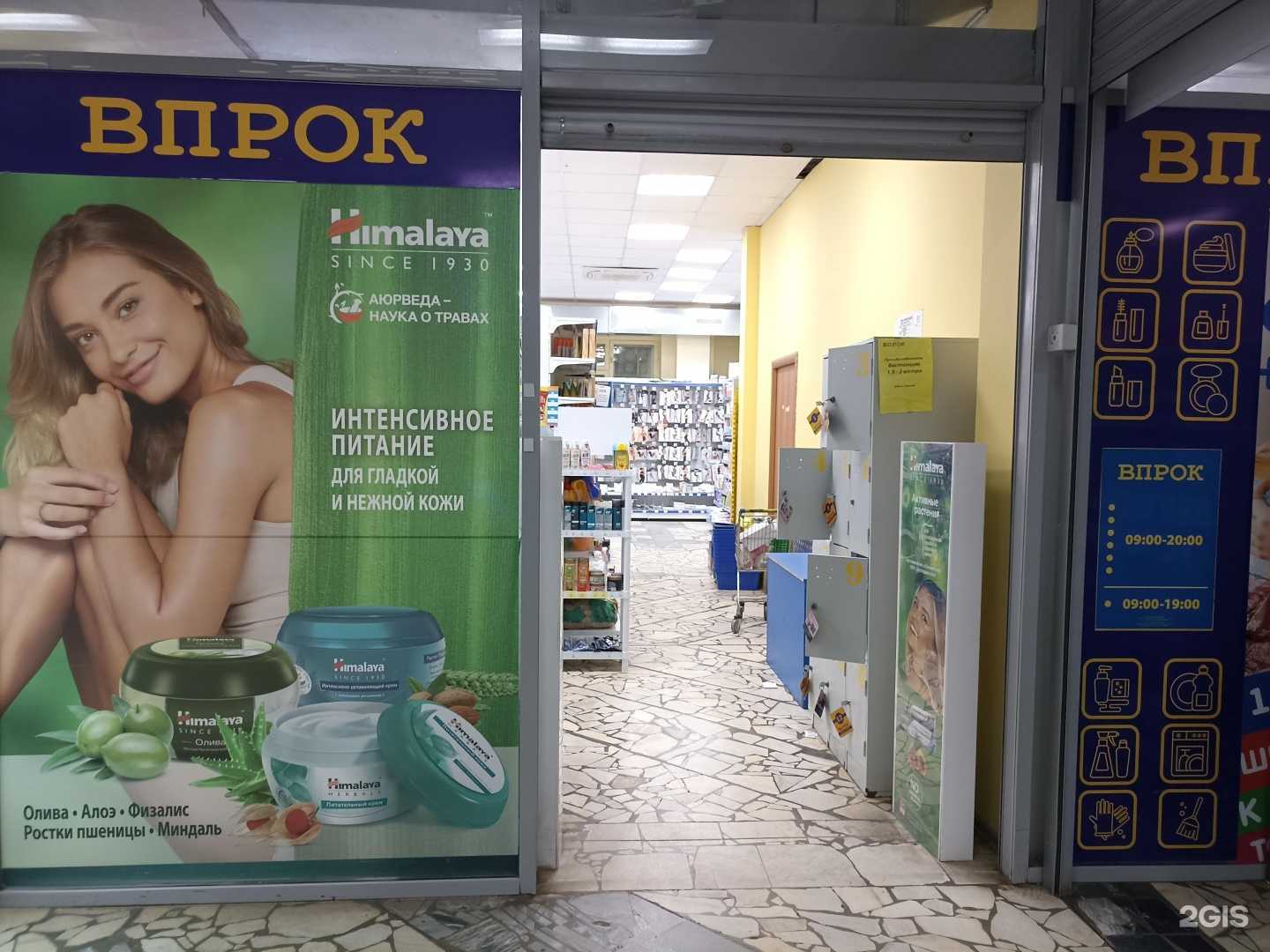 Отзывы на компанию Впрок в г. Нижнекамск c фото