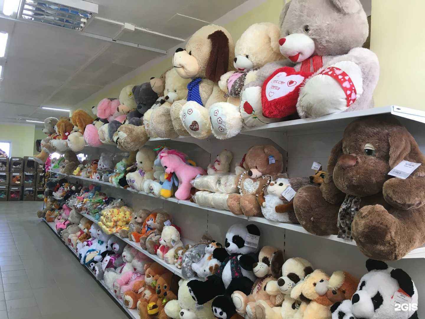 Отзывы на компанию Умка в Саратове c фото