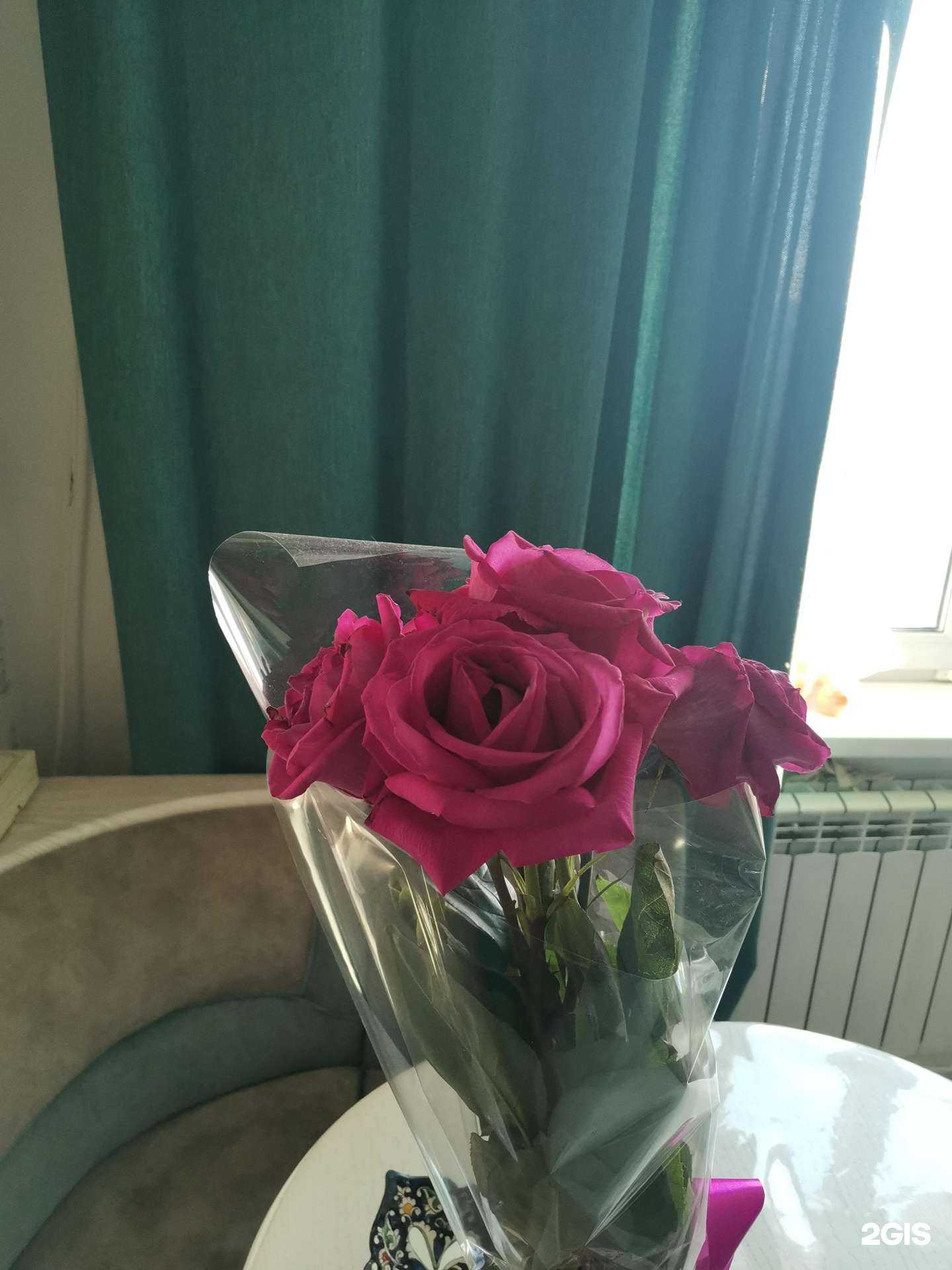 Отзывы на компанию Николь в г. Владивосток c фото