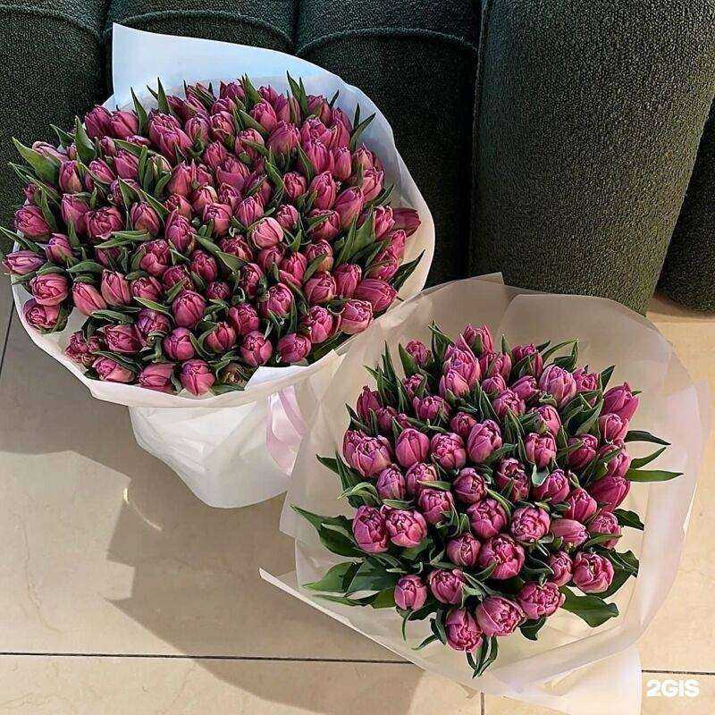 Отзывы на компанию Тюльпан в г. Томск c фото