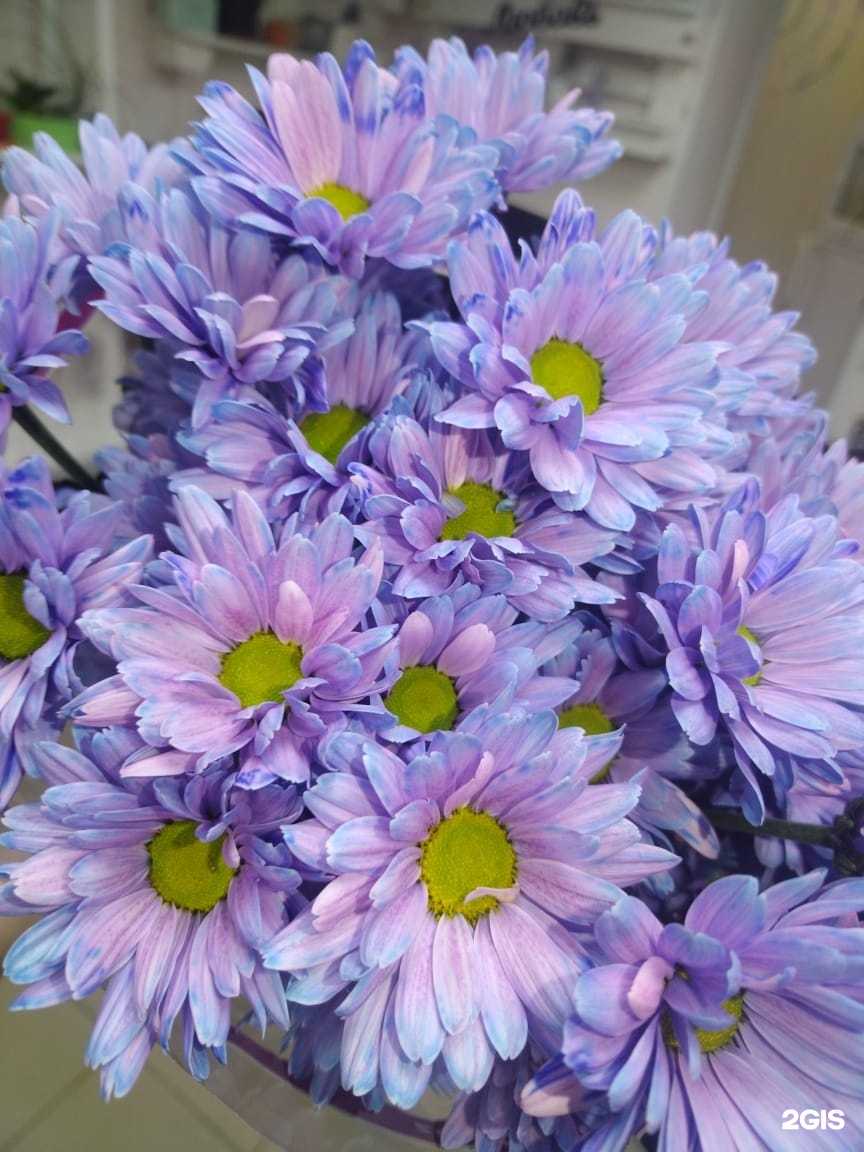 Отзывы на компанию Беркана в Северодвинске c фото