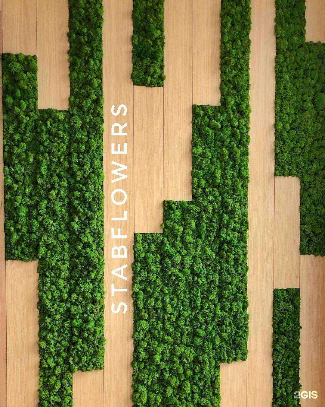 Отзывы на компанию Stabflowers в Ростове-на-Дону c фото